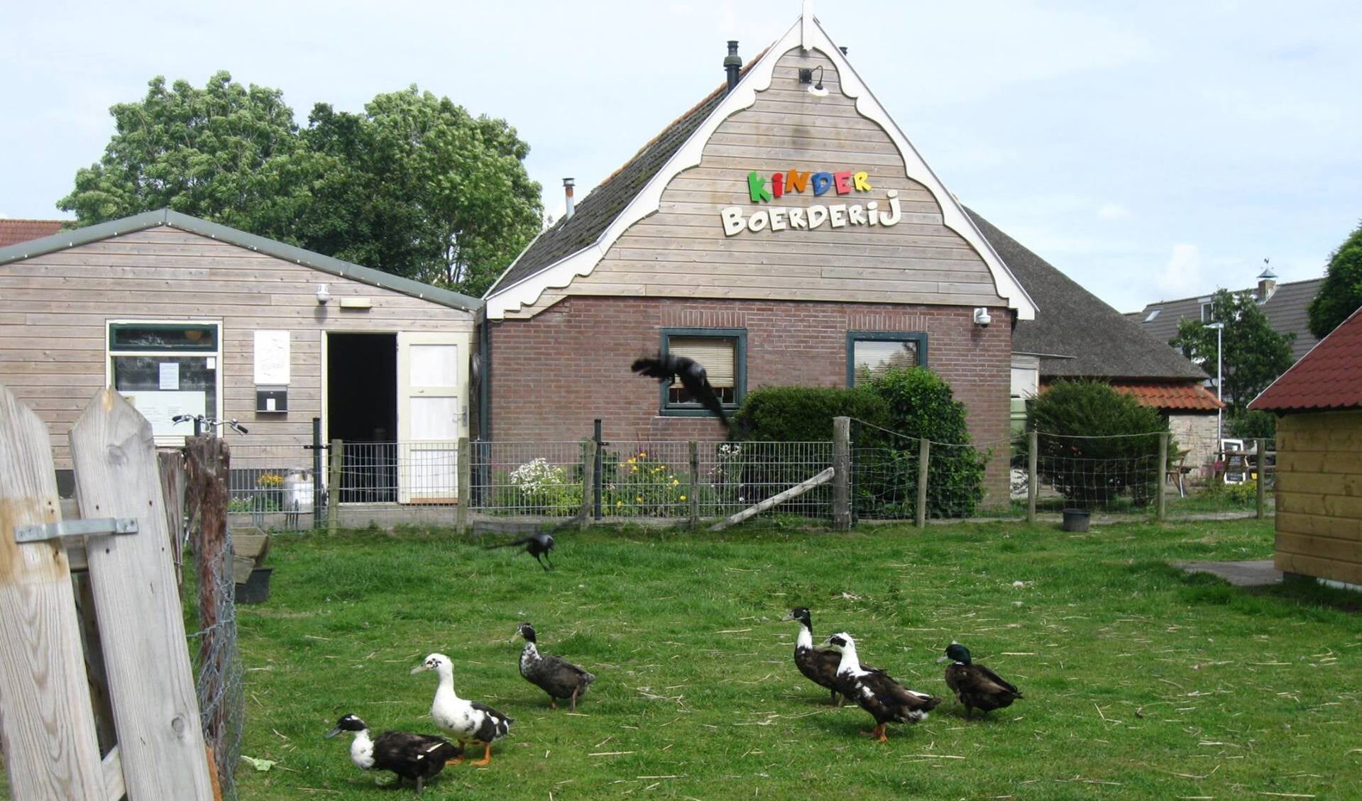De kinderboerderij aan het Paelwerck in Den Burg.