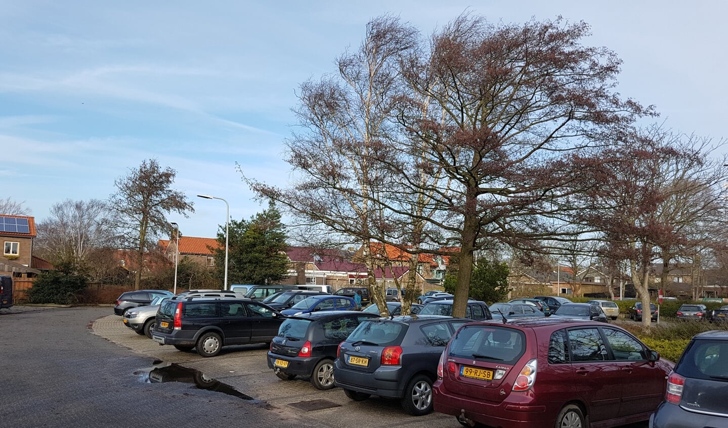 Parkeren aan de Vogelenzang in Den Burg.