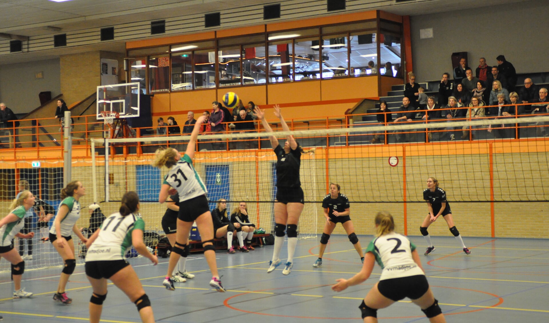 Volleybal.