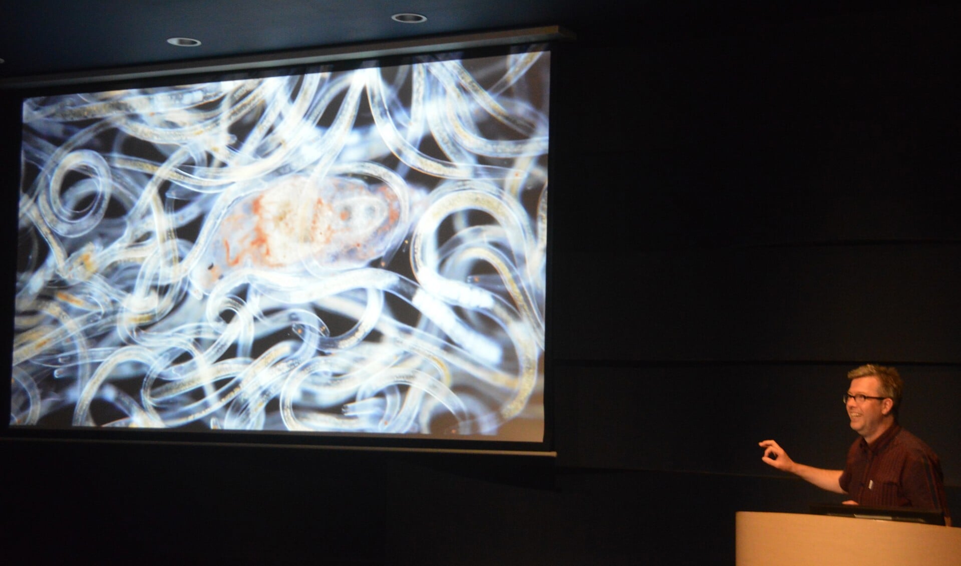 Fotograaf Wim van Egmond fotografeert microben en toont deze op een groot scherm. 