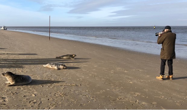 Pieter van Vollenhoven fotografeert zeehonden. 