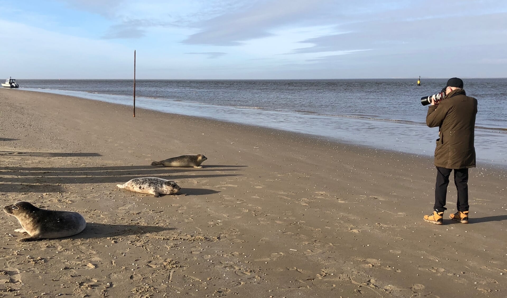Pieter van Vollenhoven fotografeert zeehonden.