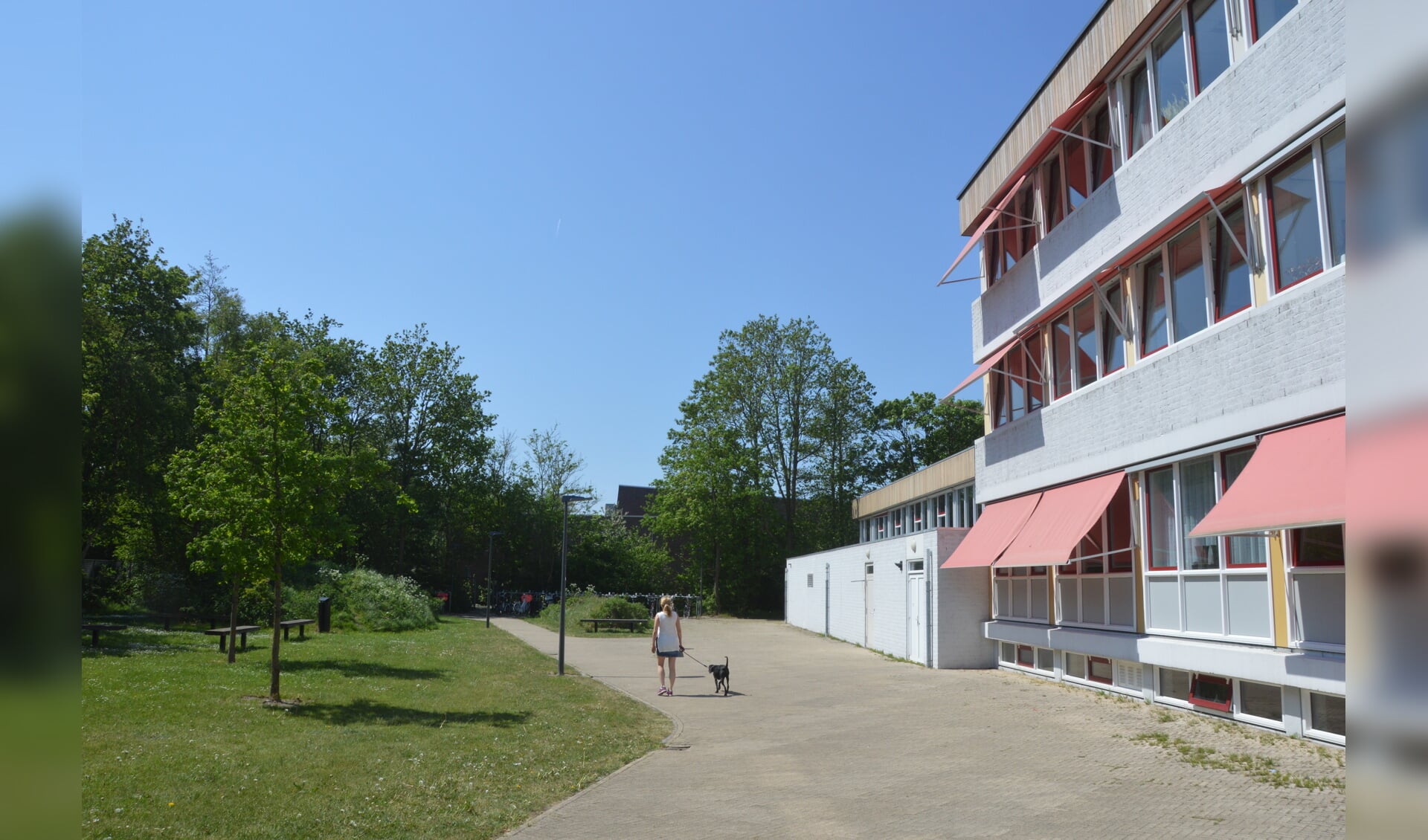 Het achterste deel van de OSG. Bedoeling was het Onderwijscentrum in het verlengde te bouwen. Er wordt nu bekeken of het Onderwijsscentrum losstaand in een geheel nieuw gebouw kan komen.