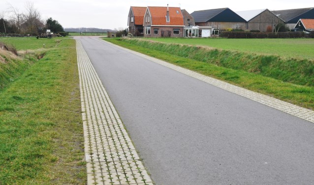Graskeien in de berm.