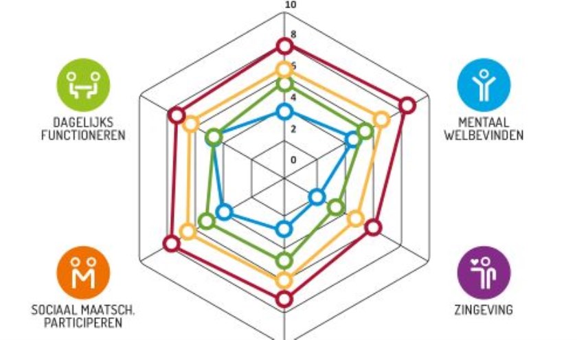 De spin van Huber, hulpmiddel voor positieve gezondheid.