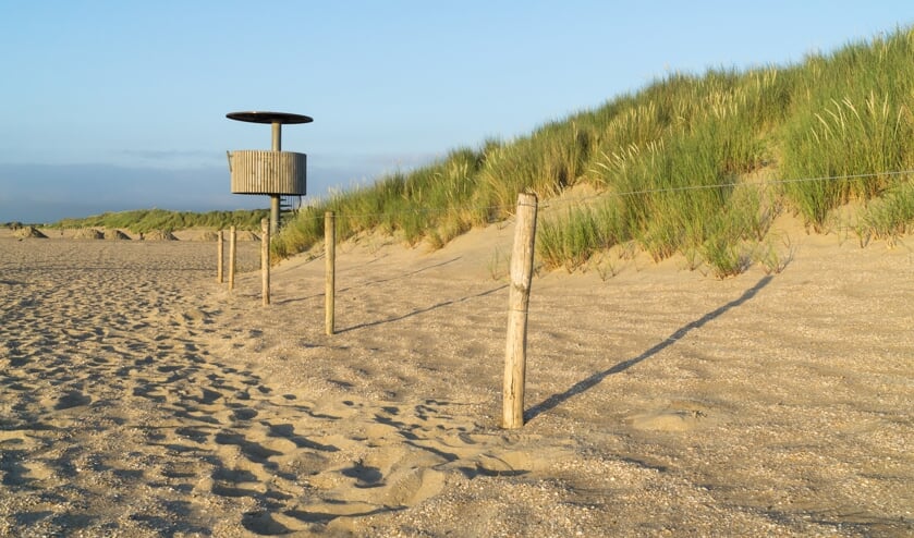 geniet van de glooiende zandduinen tijdens een ochtendwandeling