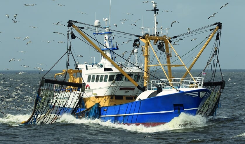Pulsvisserij op zee.