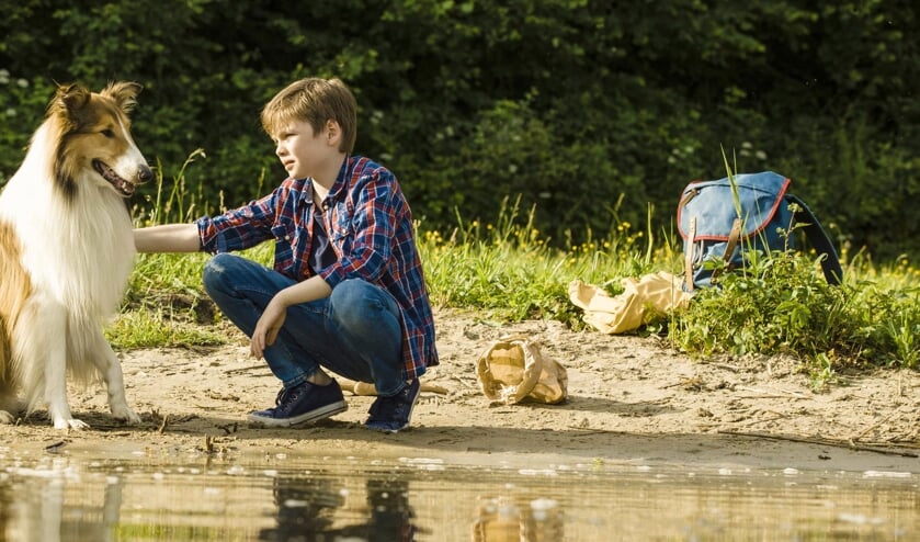 Lassie is nu te zien in Cinema Texel.
