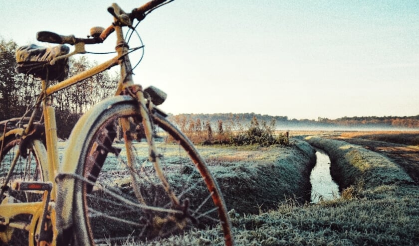 Winterse plaatjes.
