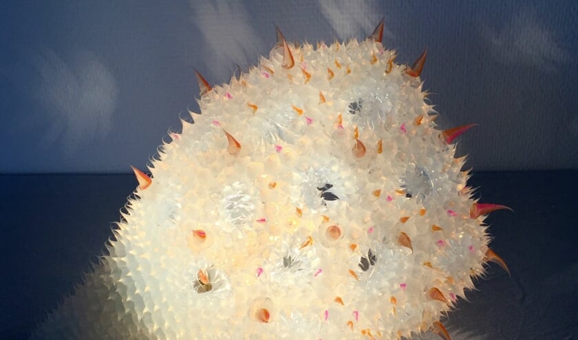 Jürgen Reichert (siliconen lichtobejcten) in Galerie Posthuys