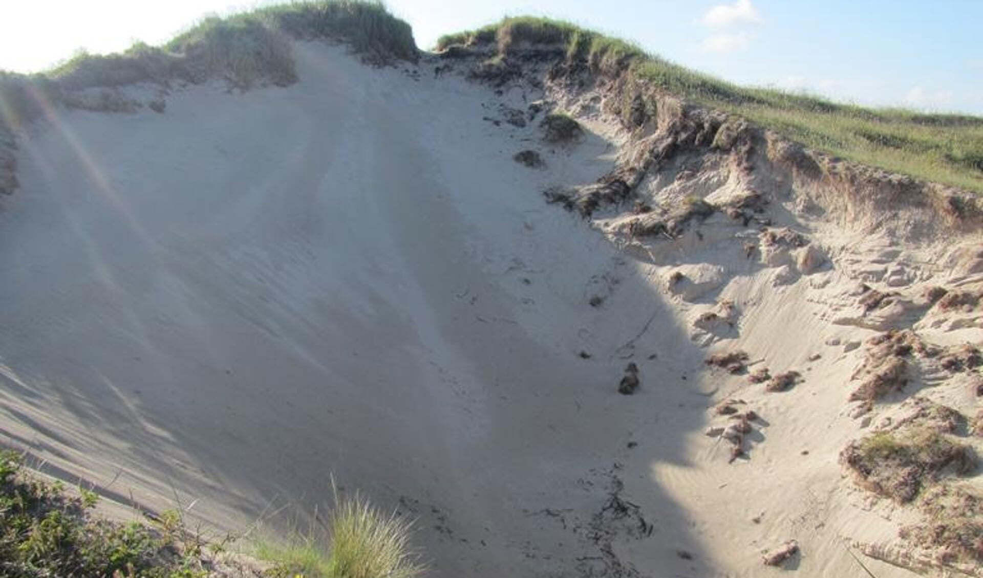 Blog van de boswachter: Stuivend zand in de duinen