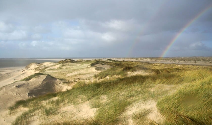 De Horsduinen.