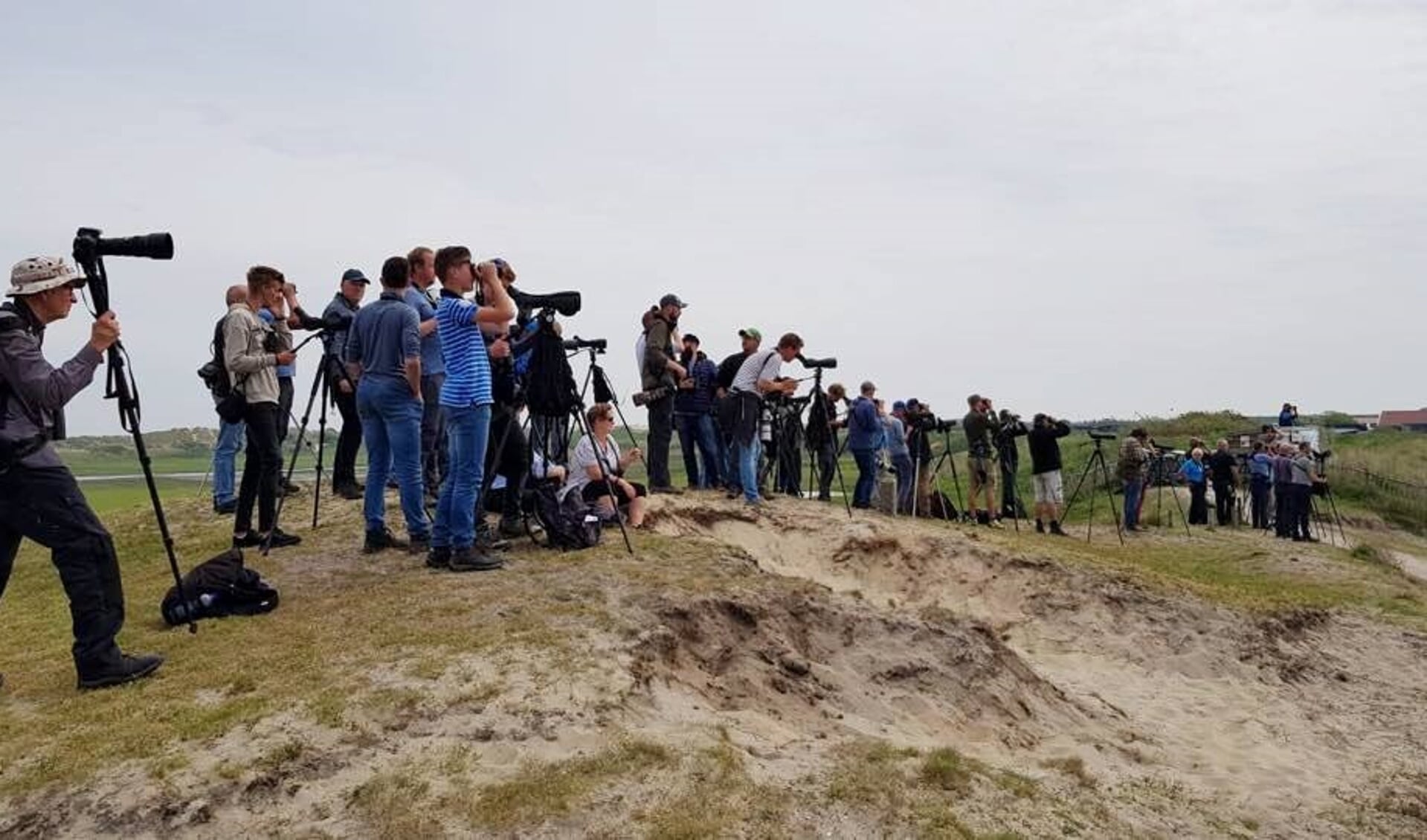 Vogelaars tijdens Big Day Texel 2018. Dit jaar is de aanpak heel anders. 