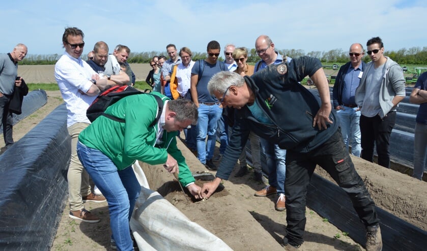 Bert Keijser laat koks zien waar de Texelse asperges vandaan komen.