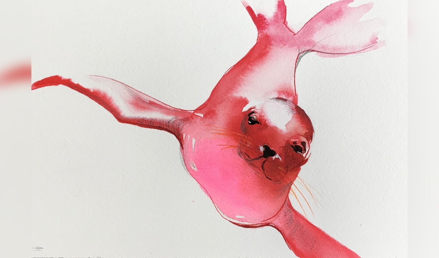 Laura Hoek, tekening (Haring en andere zeewezens in Galerie Posthuys)