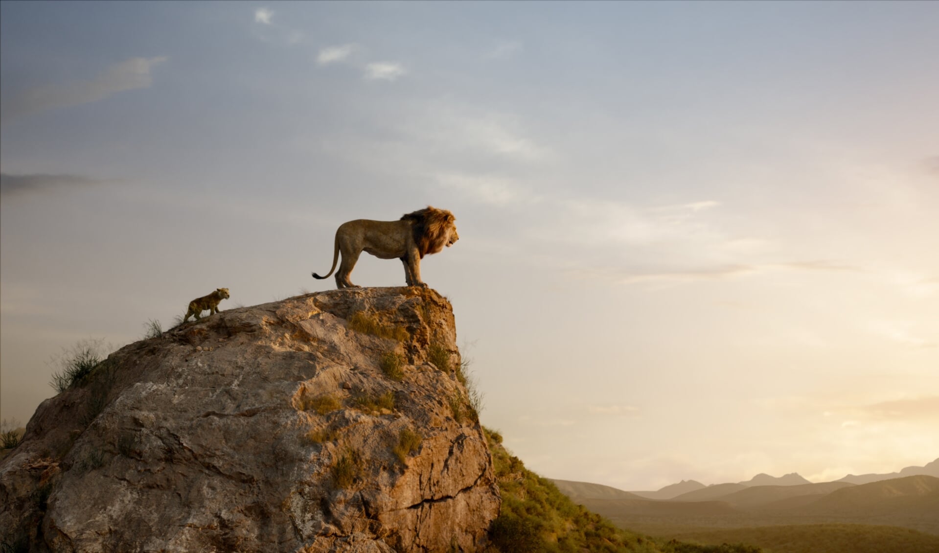 The Lion King gaat 17 juli in premiere. 
