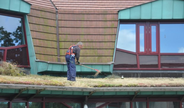 Groenexpert aan het werk op het dak van het gemeentehuis.