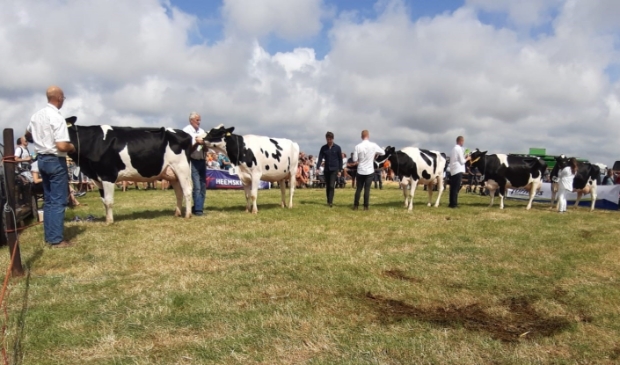 <p>Landbouwdag Texel, met onder meer de koeienkeuring, gaat ook dit jaar niet door.</p>