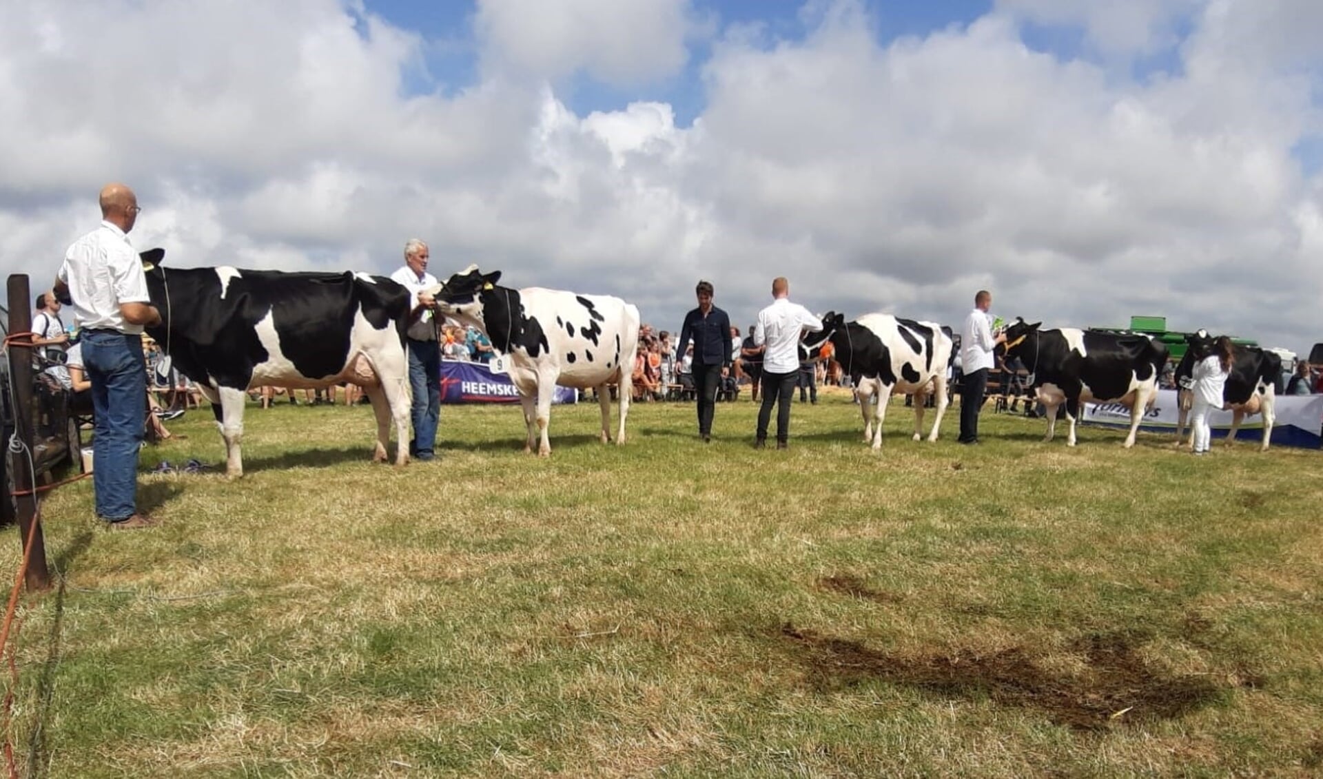 Landbouwdag Texel, met onder meer de koeienkeuring, gaat ook dit jaar niet door.