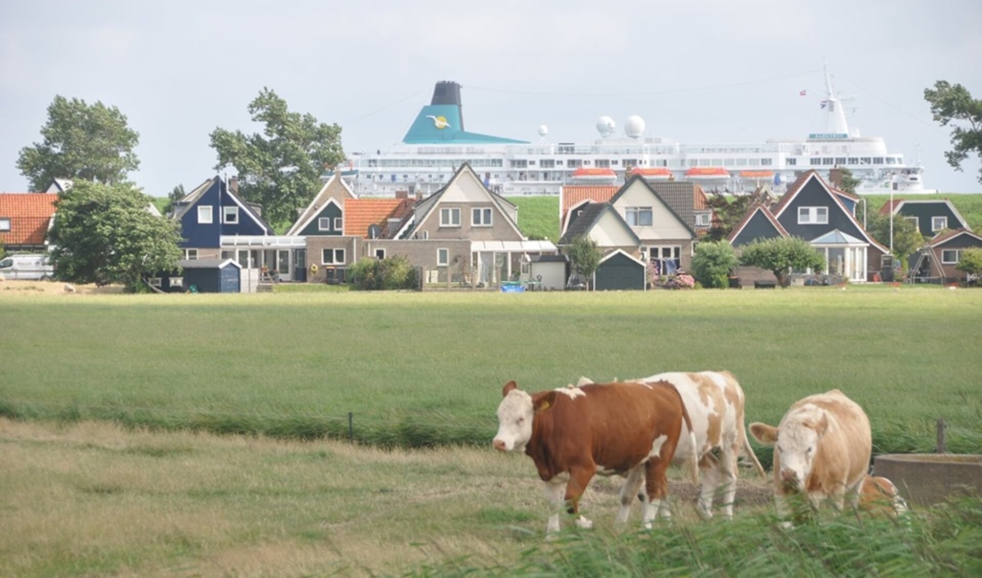 Balans zoeken tussen rust en ruimte op Texel aan de ene kant en de economische mogelijkheden van Texel aan de andere kant.