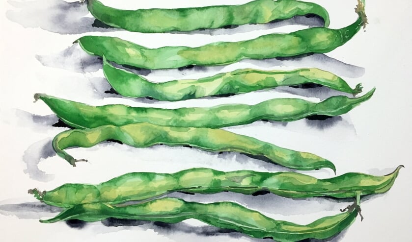 Maurice Christo van Meijel: aquarel in Galerie Posthuys