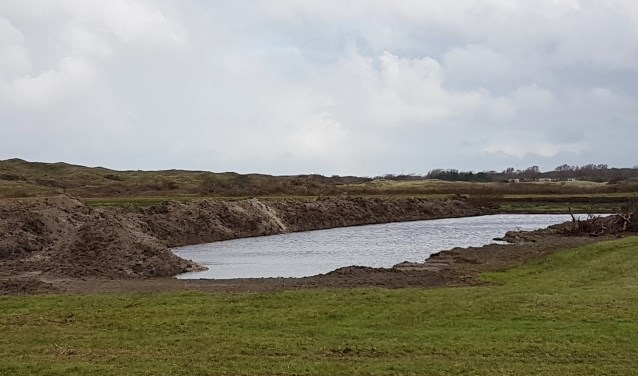 Natuurontwikkeling in het gebied van de Hanenplas.