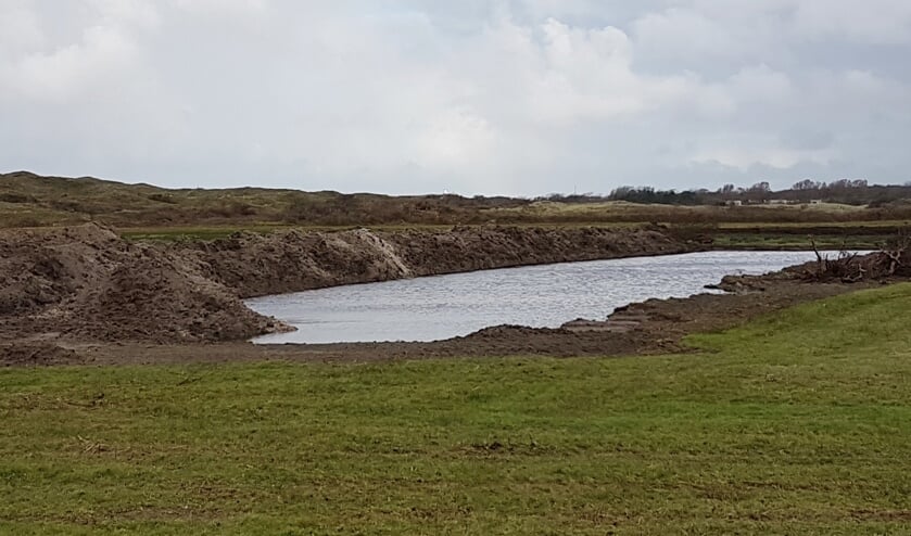 Natuurontwikkeling in het gebied van de Hanenplas.