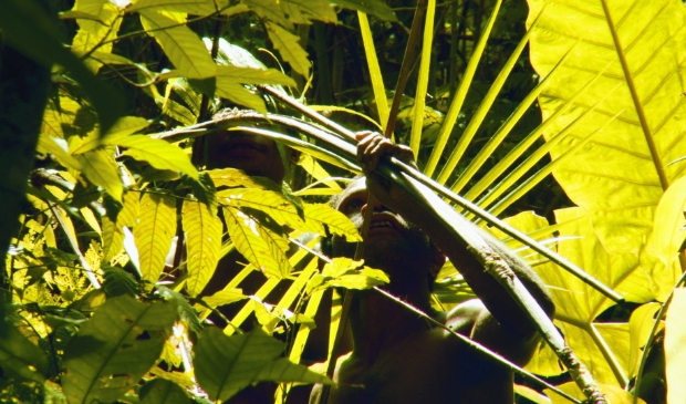 <p>Into the Jungle draait vanaf deze week in Cinema Texel.</p>