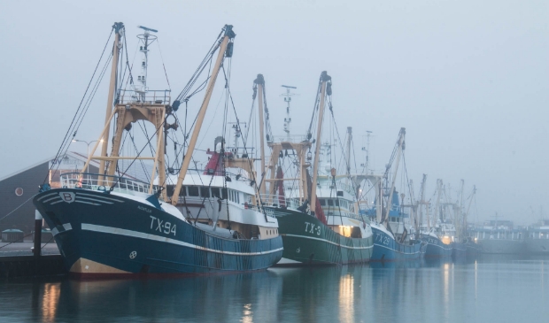 <p>Kotters in de haven van Oudeschild, vorig weekend.</p>