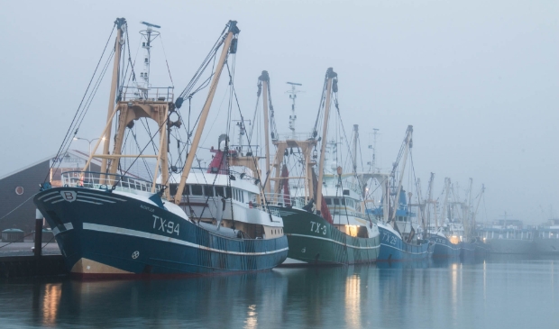 <p>De haven van Oudeschild.</p>