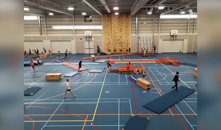 apenkooi in TXL sporthal