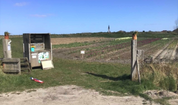De pluktuin op de hoek Rommelpot/Lagewegje.