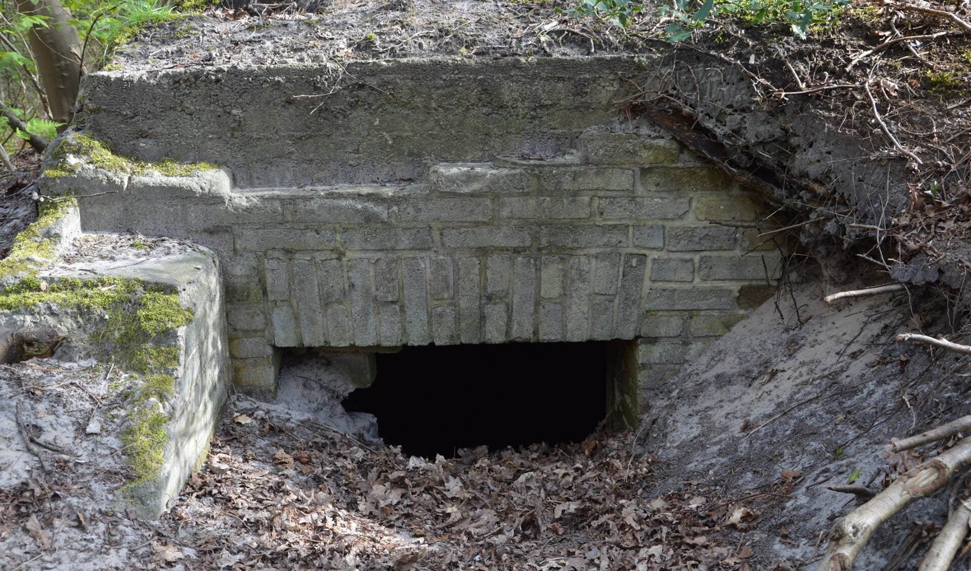 In De Dennen zijn nog veel bunkers te vinden. 