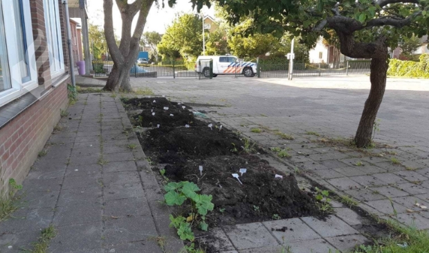 De vernielde moestuintjes bij De Fontein.
