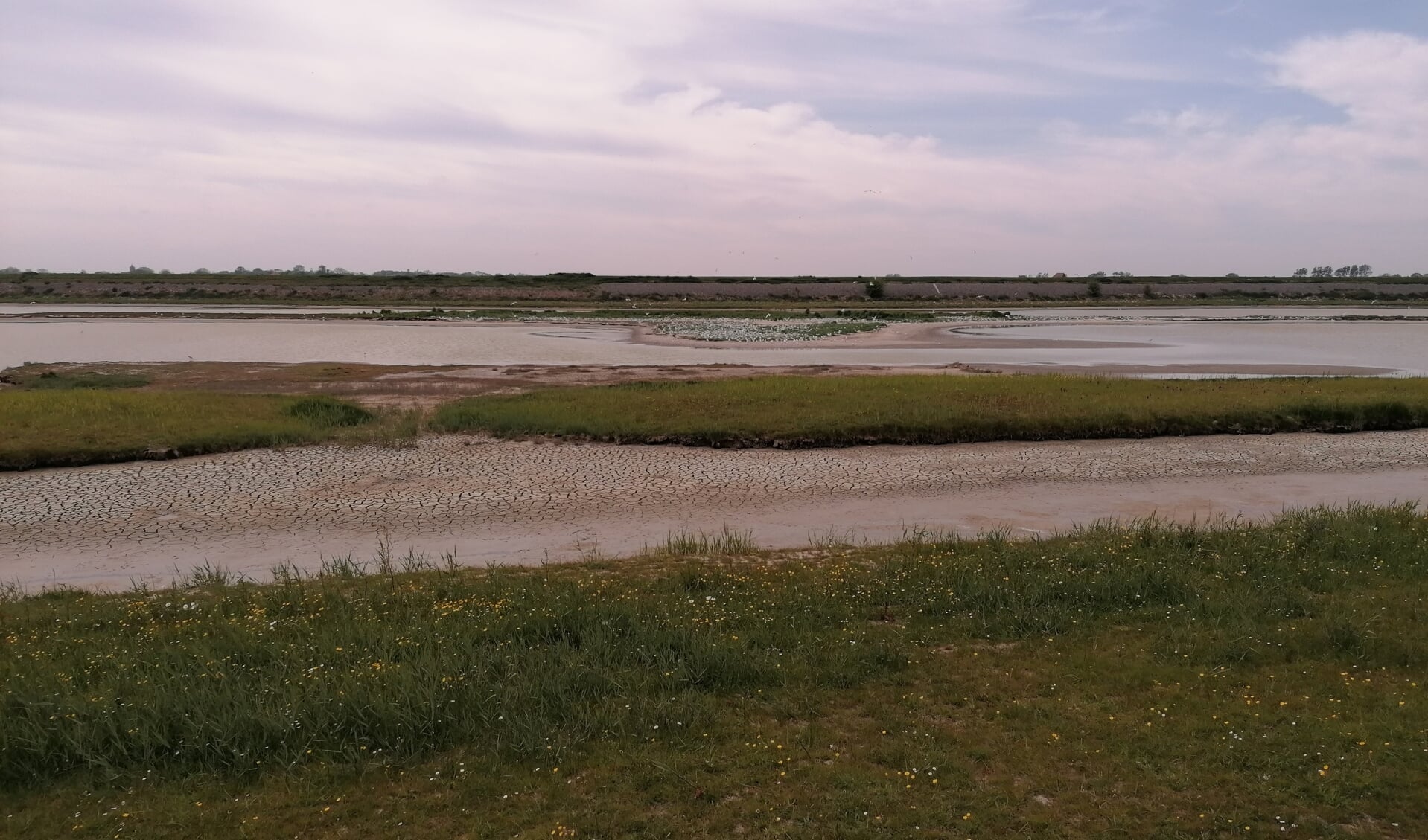 Het Wagejot had te kampen met grote droogte eind mei.