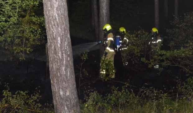 De brandweer bestrijdt het vuur in het bos.