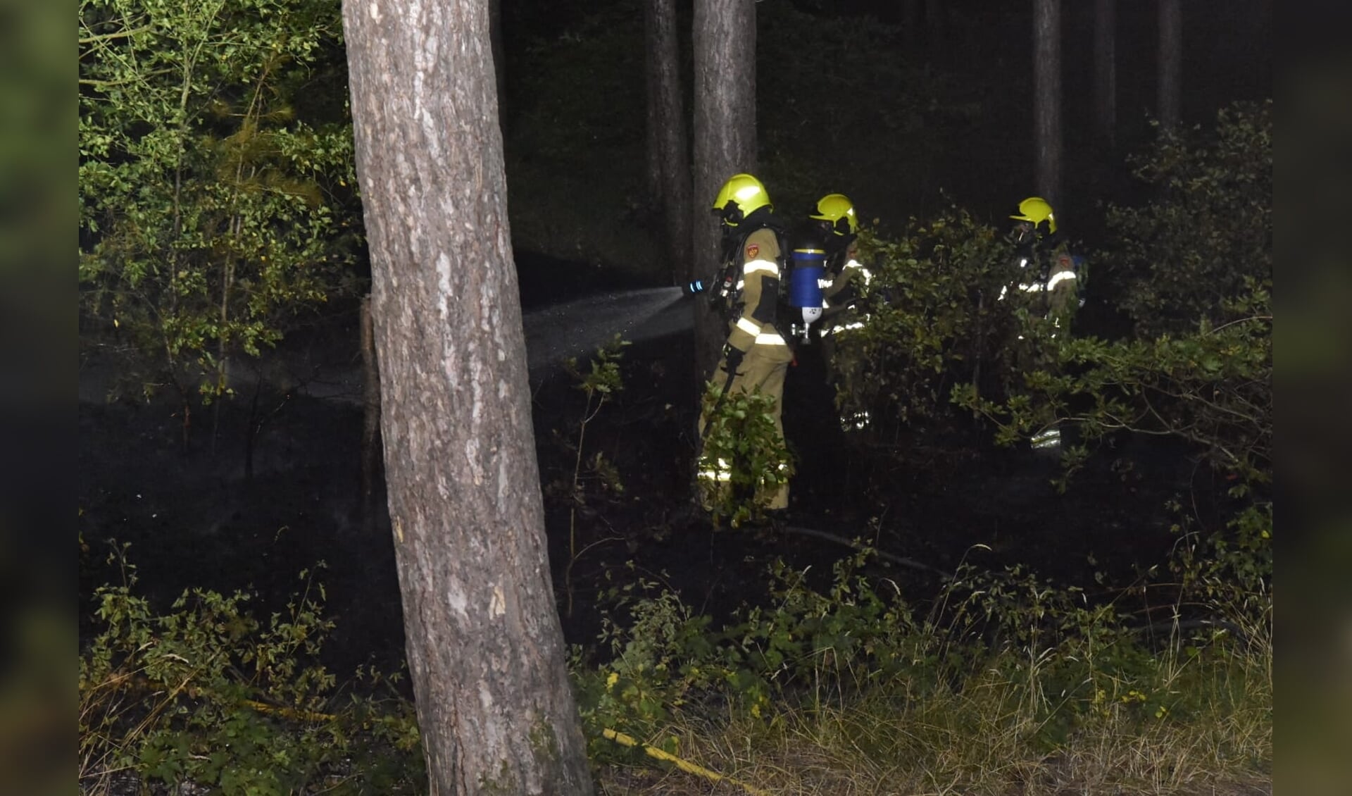 De brandweer bestrijdt het vuur in het bos.