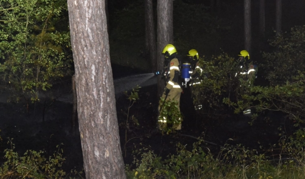 <p>De brandweer bestrijdt het vuur in het bos.</p>