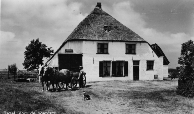 <p>De boerderij aan de Nieuwlanderweg </p>