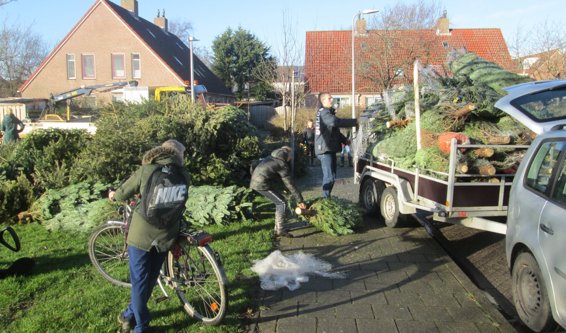 Inzameling van kerstbomen aan de Buytengors/Sluyscoog.