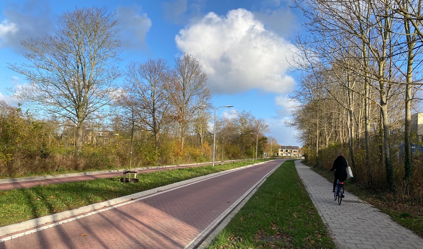 De Emmalaan in Den Burg met de gedeelde rijbanen voor fietsers en auto's.