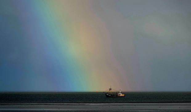 <p>De WR 80 in de kleuren van de regenboog.</p>