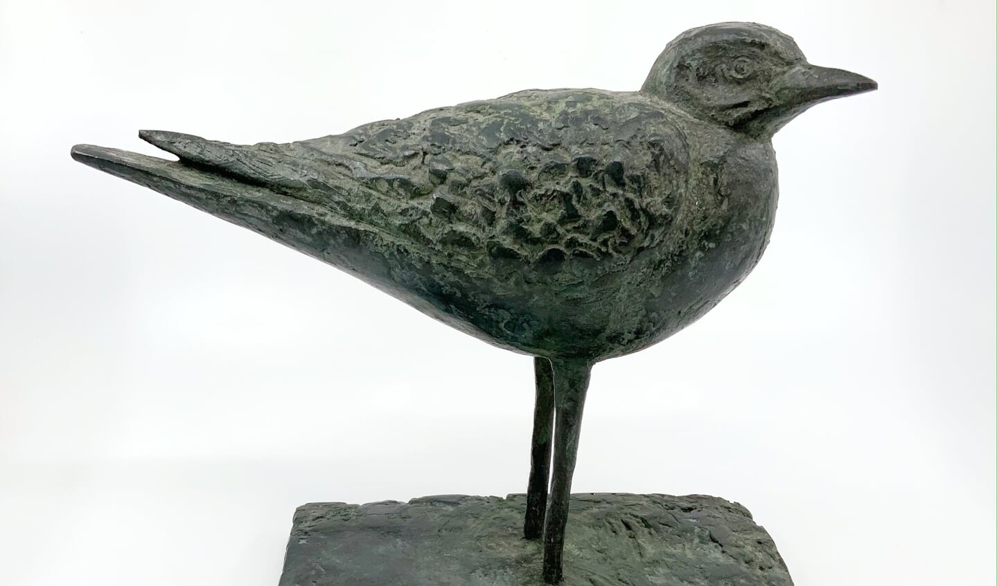 Barbara de Clercq: Meeuw (brons) in Galerie Posthuys