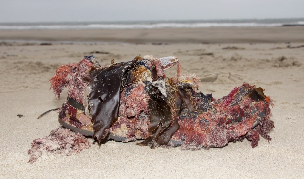 <p>Aangespoelde schoen op het strand.</p>