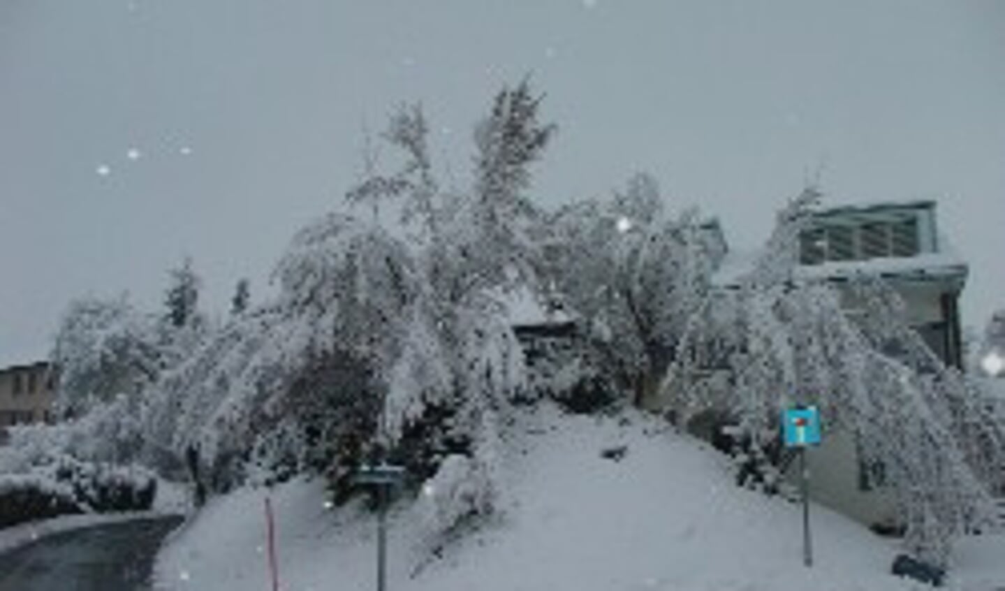 Het huis van Riteco (rechts). Foto genomen in april (nu wil het ook in Zwitserland nog maar niet winteren).