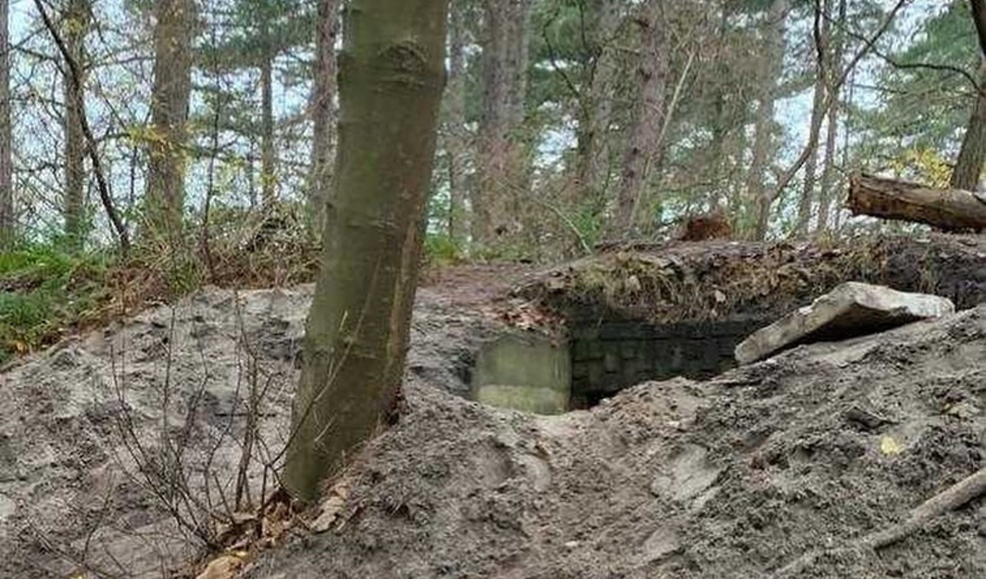 Bunker in het bos.