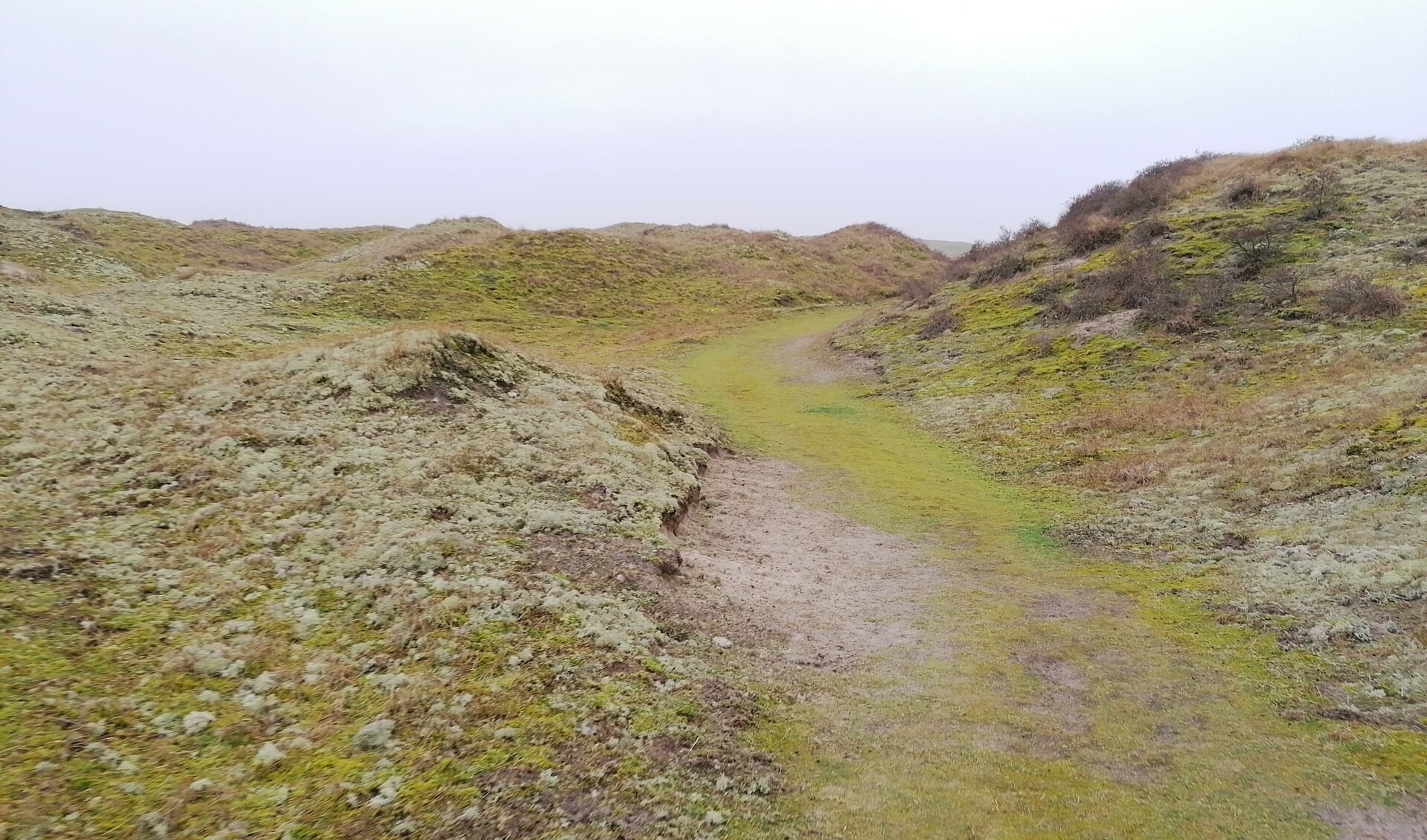 Wandelpad door de Eierlandse Duinen.