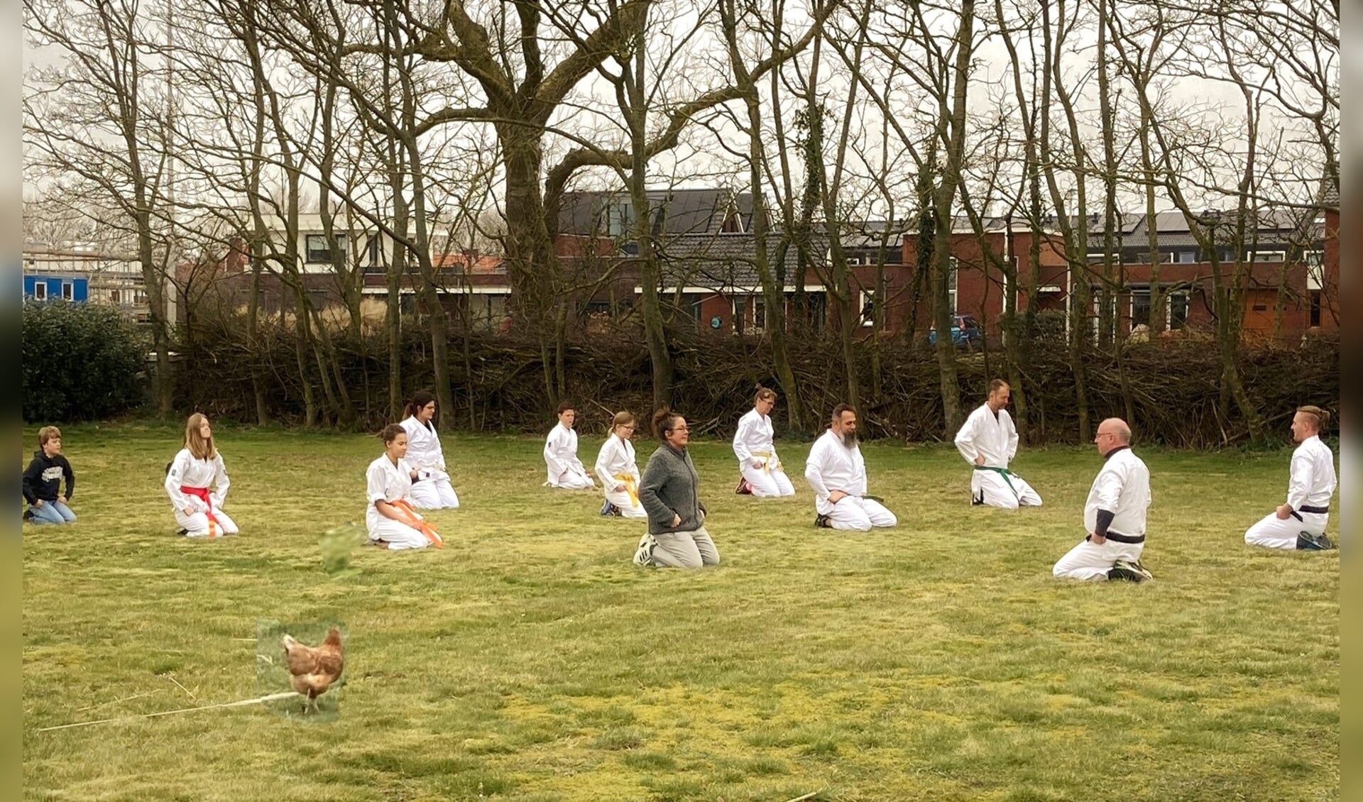 De kip kijkt raar op als de leden van Shima op haar veld komen trainen