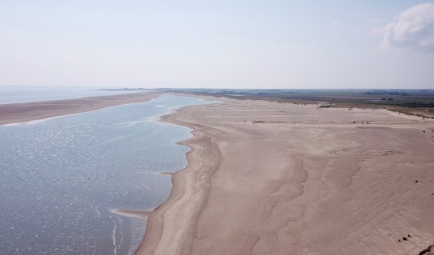 <p>Het gebied bij de Prins Hendrikzanddijk met links de strandhaak waar de hond liep.</p>