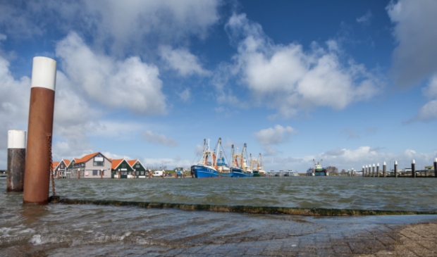 <p>De haven van Oudeschild.</p>